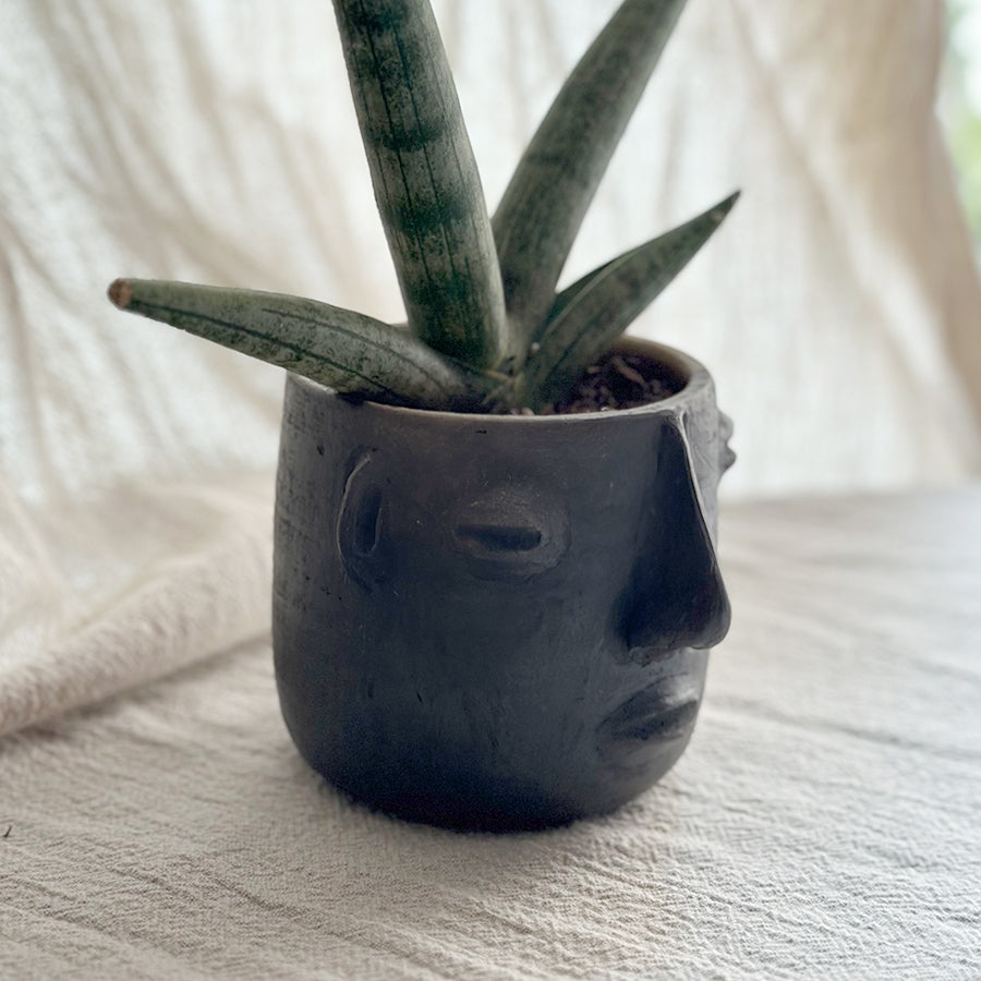 The Oaxacan Duo: Face Planters Kit