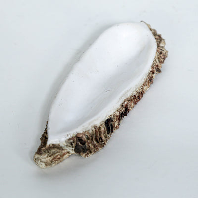 Jabonera