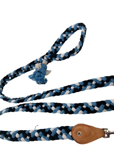 Braided Dog leash