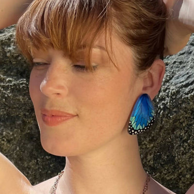 Large Morpho Wing Earrings