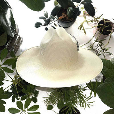 Straw Silver Metal White Hat